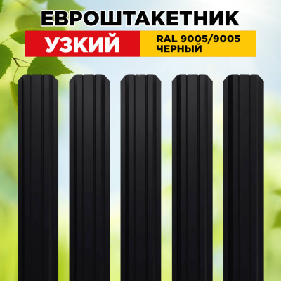 Штакетник Узкий RAL 9005-9005 Черный двусторонний для забора